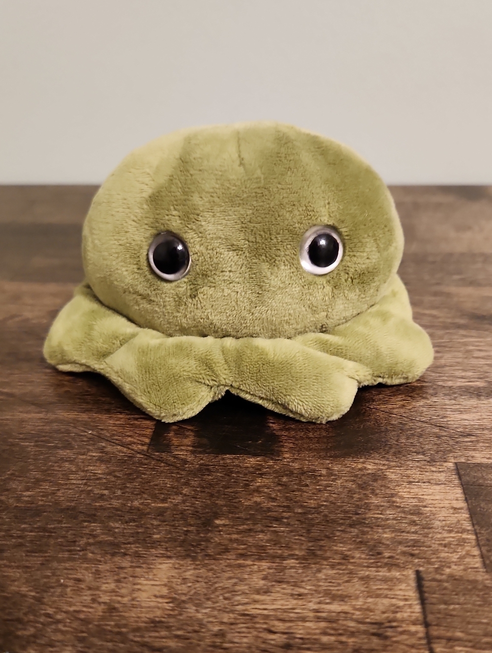 Giant Microbes By Drew Oliver - Booger - Science Health Class Plush